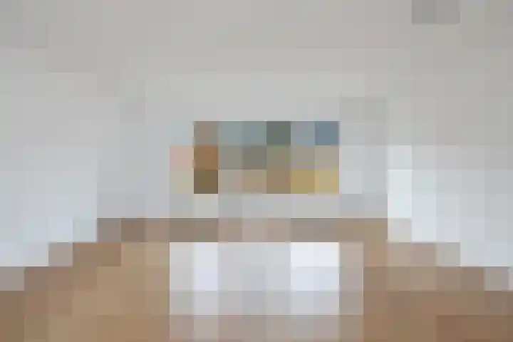 Boogschutter 91 Hoorn thumbnail 8
