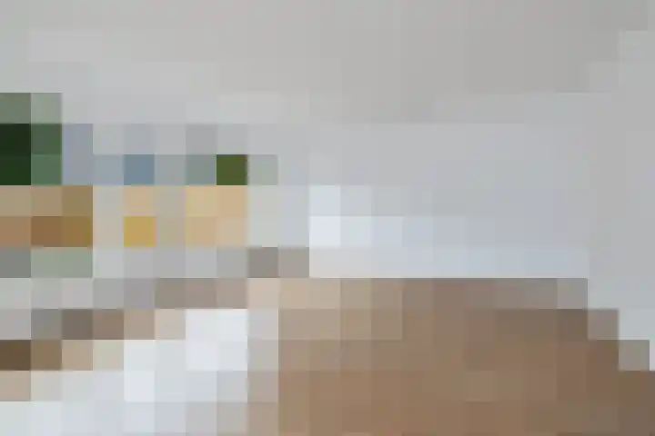 Boogschutter 91 Hoorn thumbnail 9
