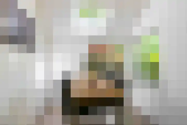 Boogschutterlaan 1 Son en Breugel thumbnail 10