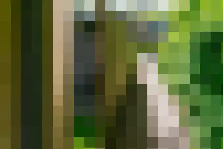 Boogschutterlaan 1 Son en Breugel thumbnail 31