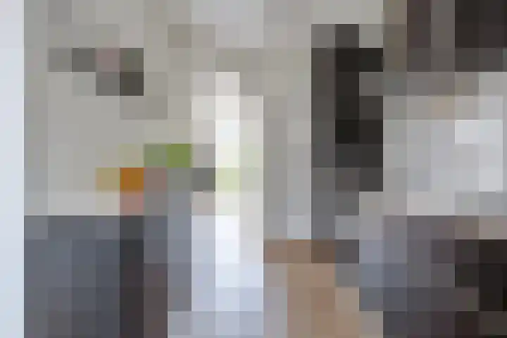 Boogschutterlaan 8 Son en Breugel thumbnail 10