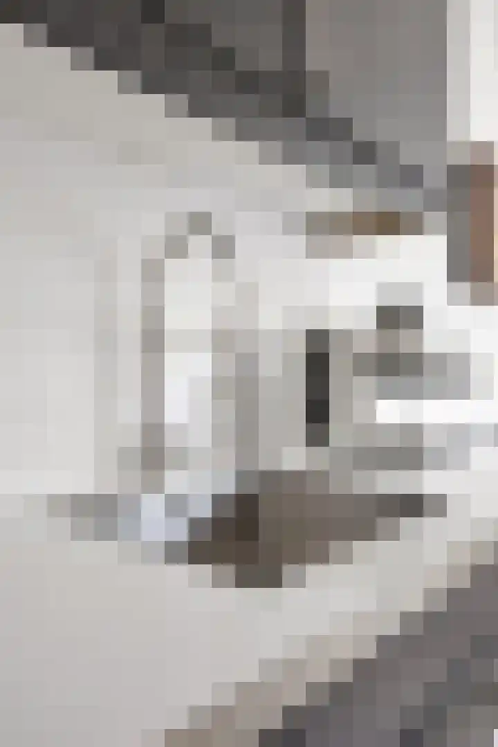 Boogschutterlaan 8 Son en Breugel thumbnail 12