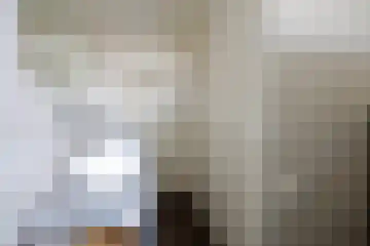 Boogschutterlaan 8 Son en Breugel thumbnail 17