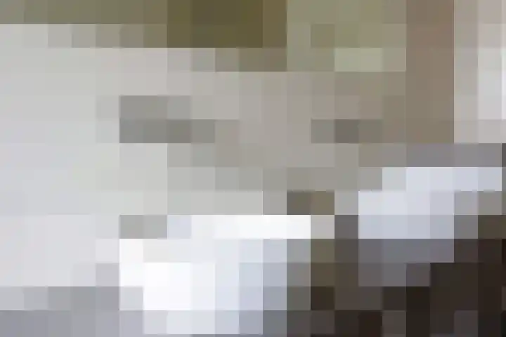 Boogschutterlaan 8 Son en Breugel thumbnail 20