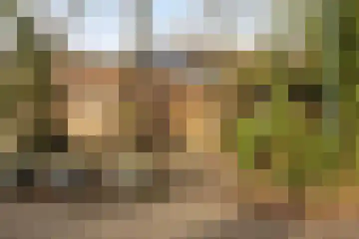 Boogschutterlaan 8 Son en Breugel thumbnail 30