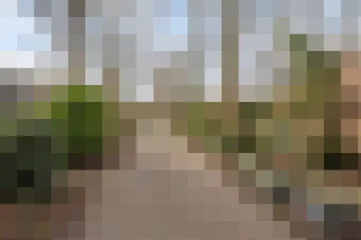 Boogschutterlaan 8 Son en Breugel thumbnail 32