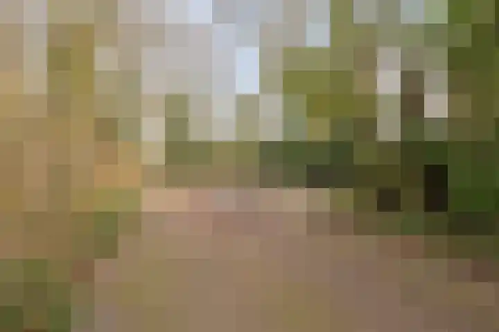 Boogschutterlaan 8 Son en Breugel thumbnail 33
