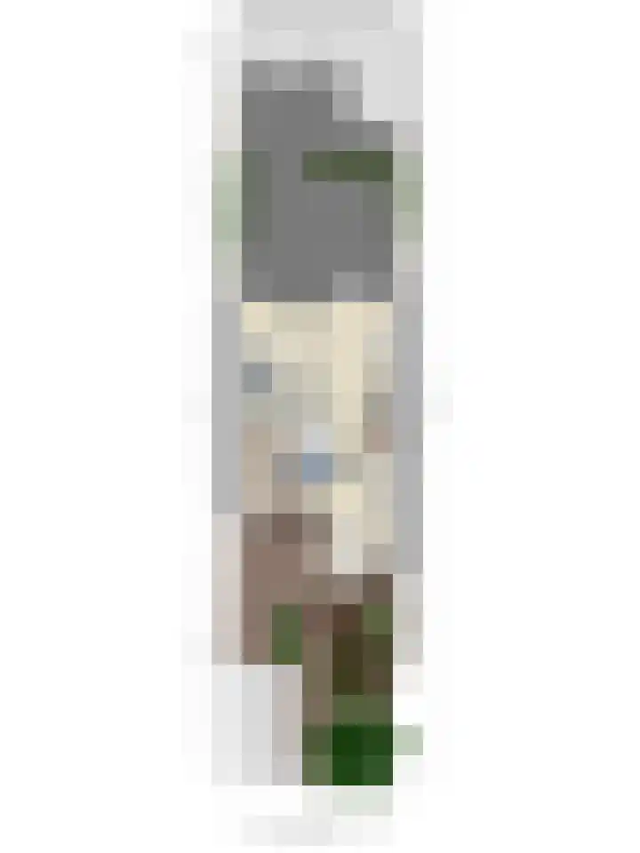 Boogschutterlaan 8 Son en Breugel thumbnail 38