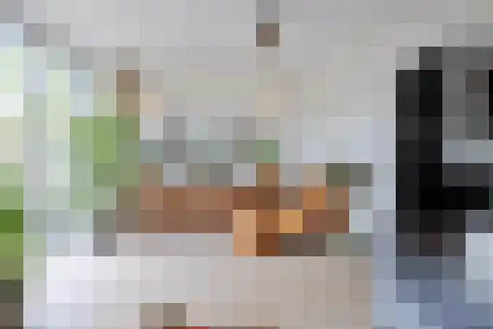 Boogschutterlaan 8 Son en Breugel thumbnail 7