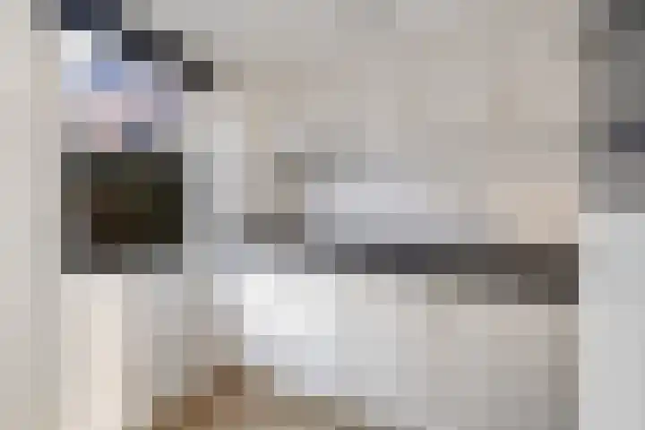 Boogstrjitte 10 Grou thumbnail 12