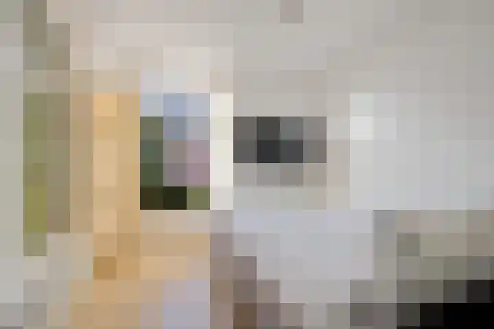 Boogstrjitte 10 Grou thumbnail 14
