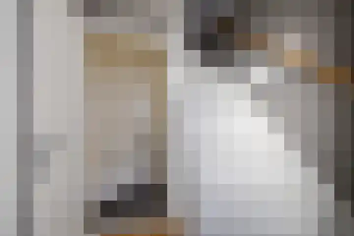 Boogstrjitte 10 Grou thumbnail 7