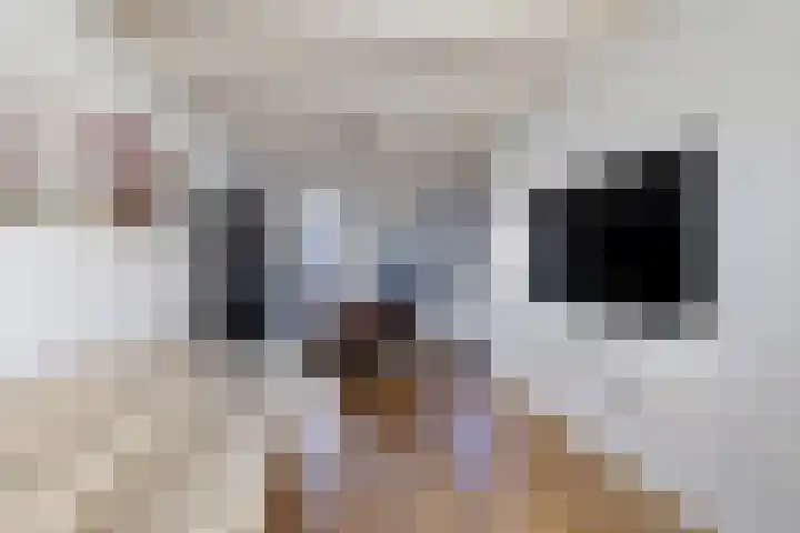 Boogstrjitte 10 Grou thumbnail 8