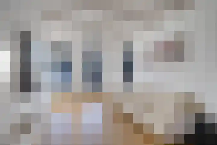 Boogstrjitte 10 Grou thumbnail 9