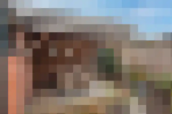 Booijinkstraat 12 Vasse thumbnail 18
