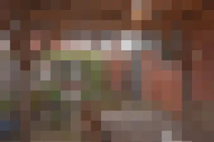 Booijinkstraat 12 Vasse thumbnail 20