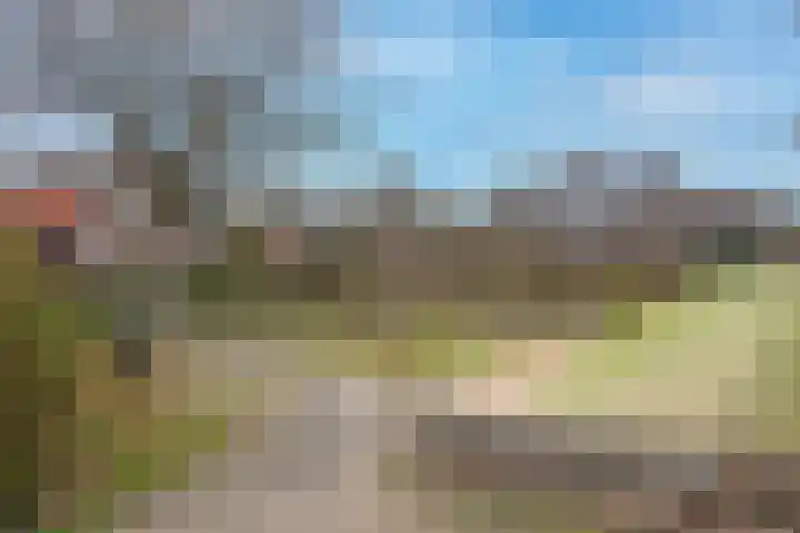 Booijinkstraat 12 Vasse thumbnail 24