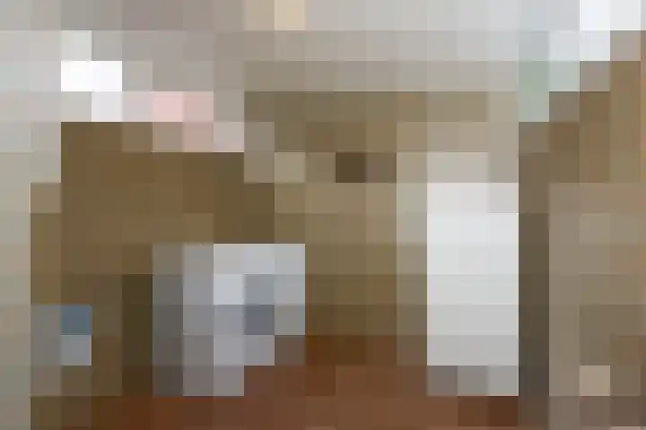 Booijinkstraat 12 Vasse thumbnail 9