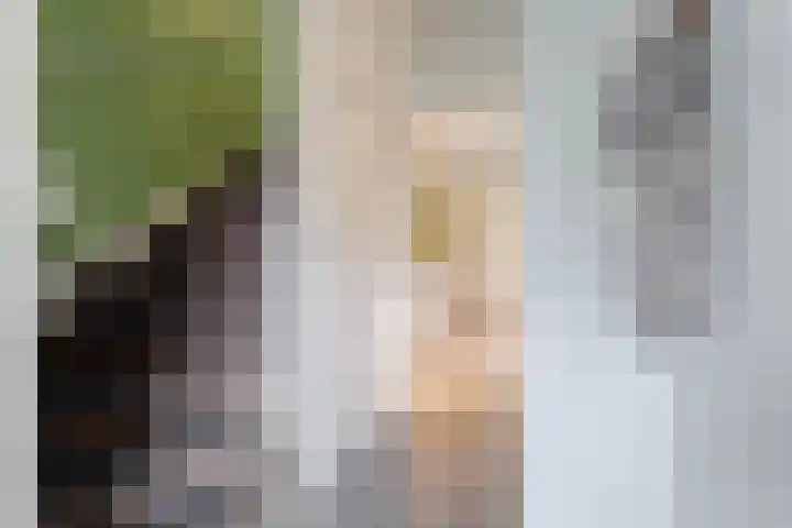 Booijinkstraat 16 Vasse thumbnail 11