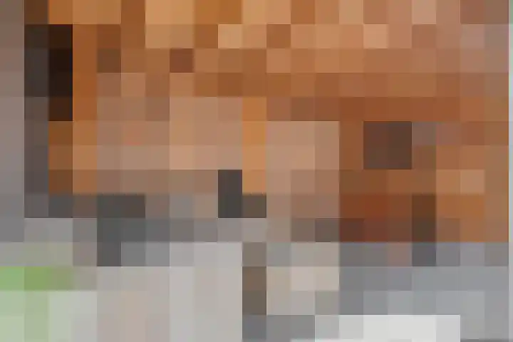 Booijinkstraat 16 Vasse thumbnail 23