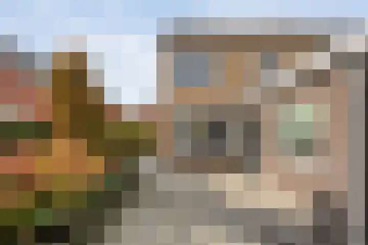 Booijinkstraat 16 Vasse thumbnail 25