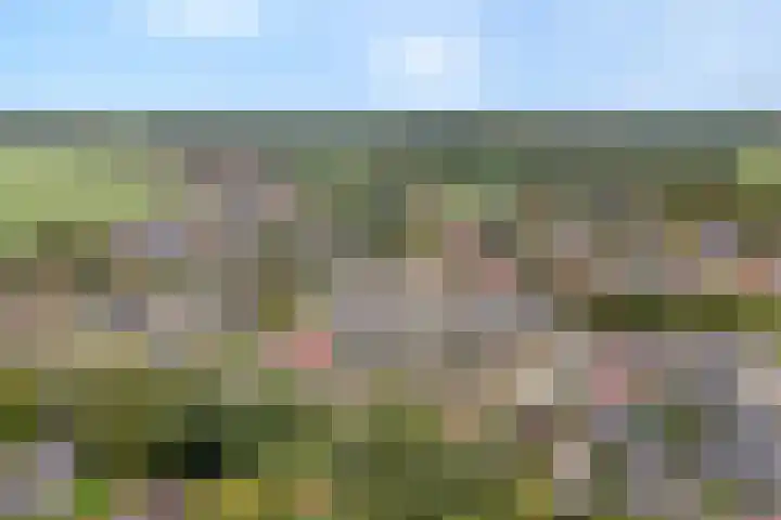 Booijinkstraat 16 Vasse thumbnail 26
