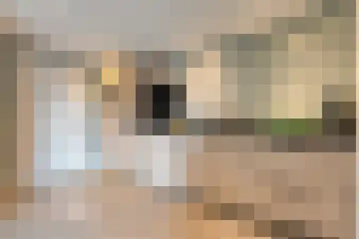 Booijinkstraat 16 Vasse thumbnail 4