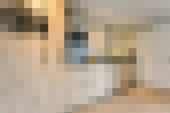 Booijinkstraat 16 Vasse thumbnail 5