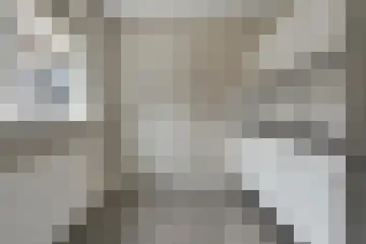Booijinkstraat 16 Vasse thumbnail 8