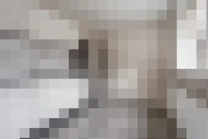 Booijinkstraat 16 Vasse thumbnail 9