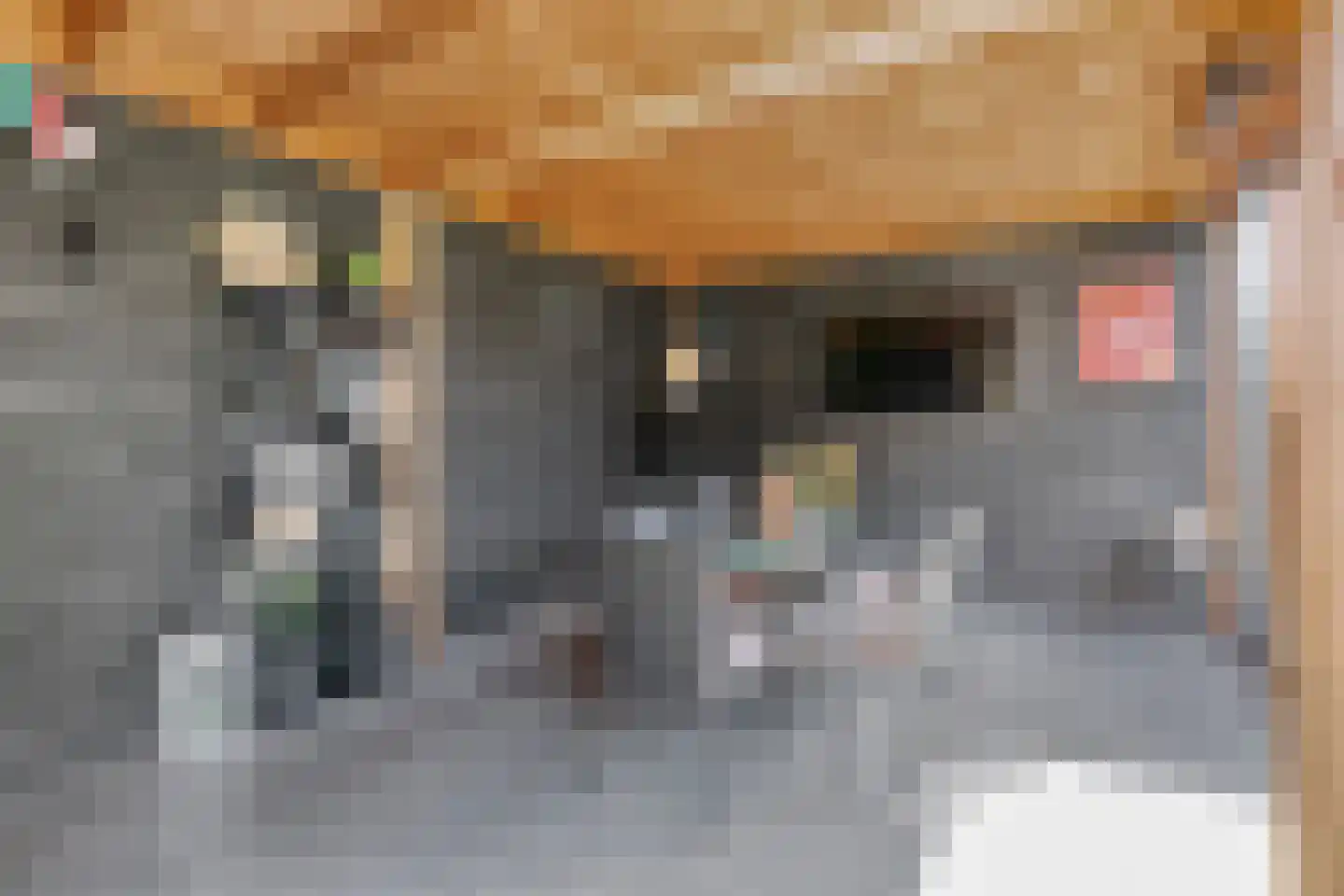 Booijinkstraat 22 Vasse thumbnail 23