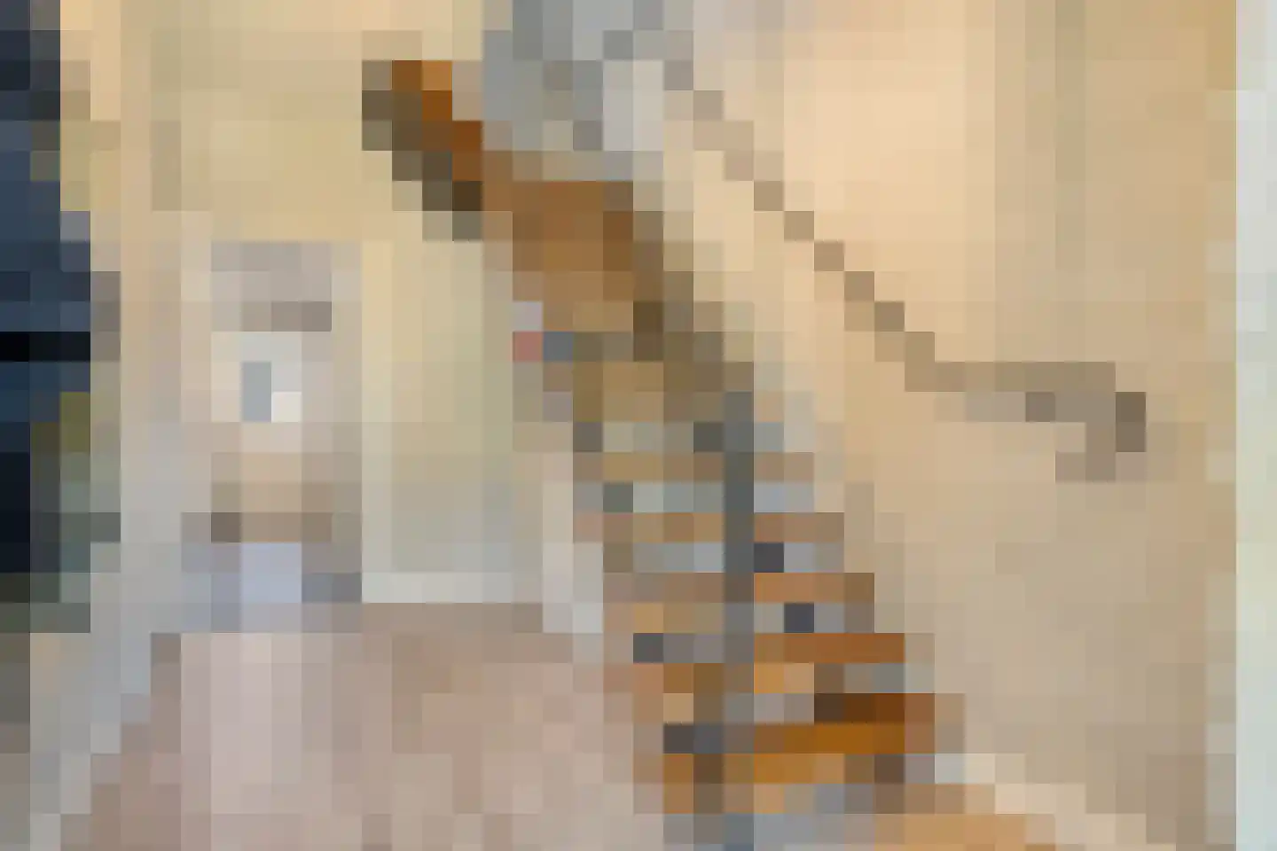 Booijinkstraat 22 Vasse thumbnail 5