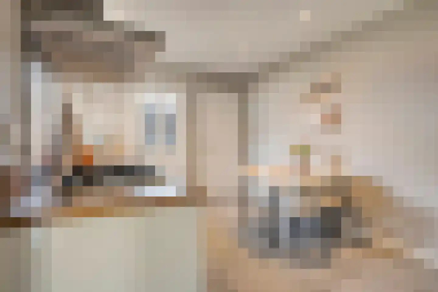 Booijinkstraat 22 Vasse thumbnail 7