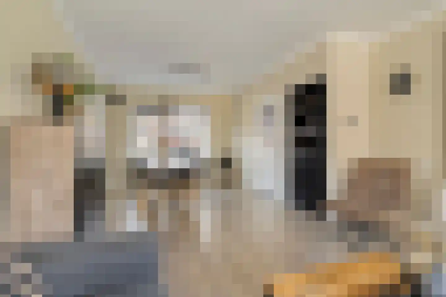 Booijinkstraat 22 Vasse thumbnail 9