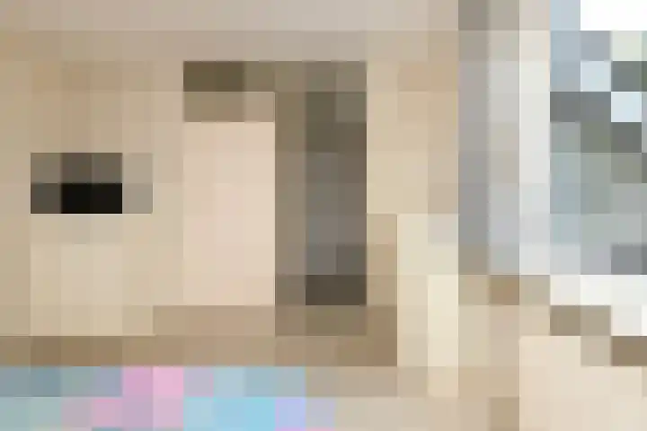 Booket 88 Blaricum thumbnail 12
