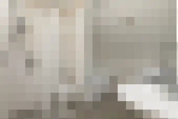 Booket 88 Blaricum thumbnail 13
