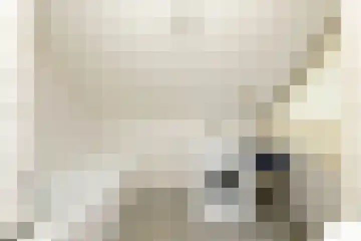 Booket 88 Blaricum thumbnail 14