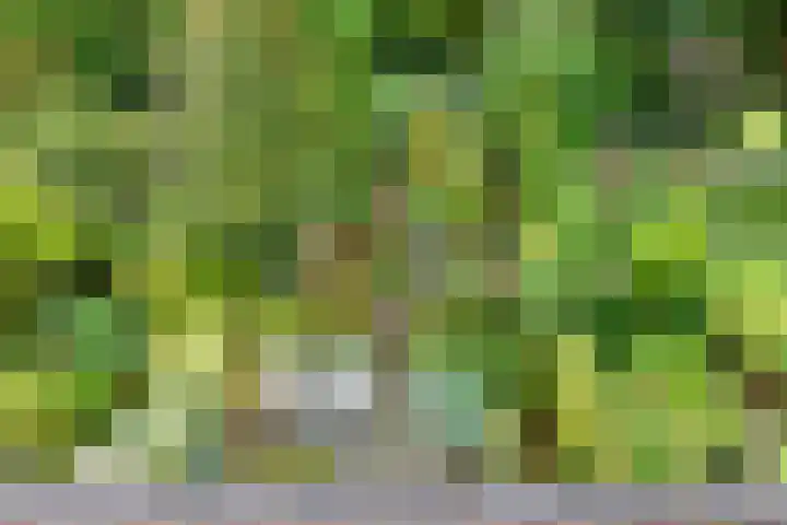 Booket 88 Blaricum thumbnail 21