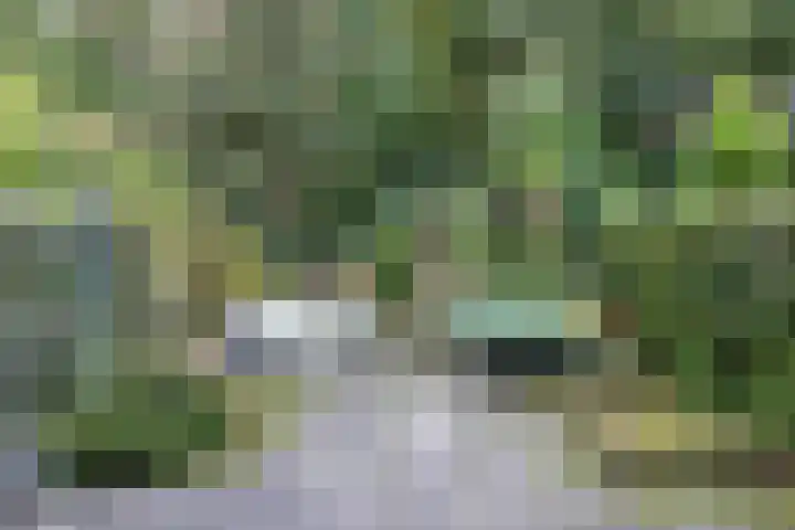 Booket 88 Blaricum thumbnail 22