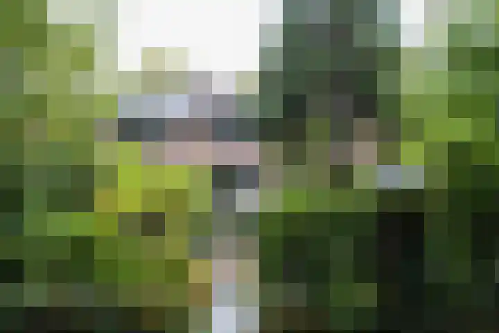 Booket 88 Blaricum thumbnail 23
