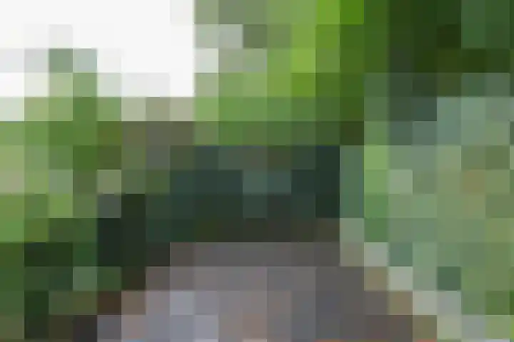 Booket 88 Blaricum thumbnail 25
