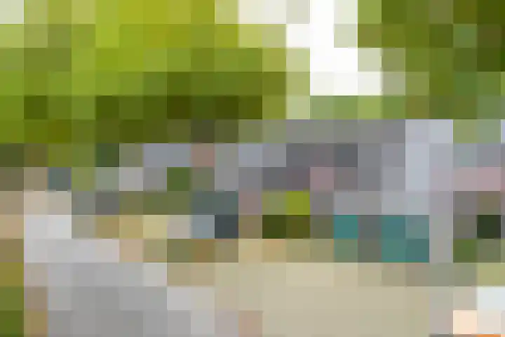 Booket 88 Blaricum thumbnail 29