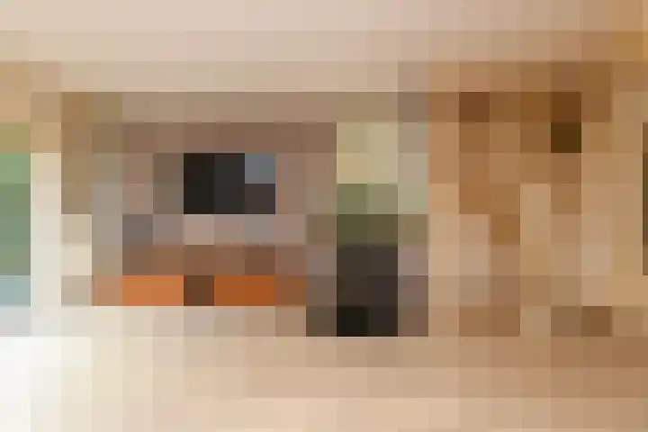 Booket 88 Blaricum thumbnail 4
