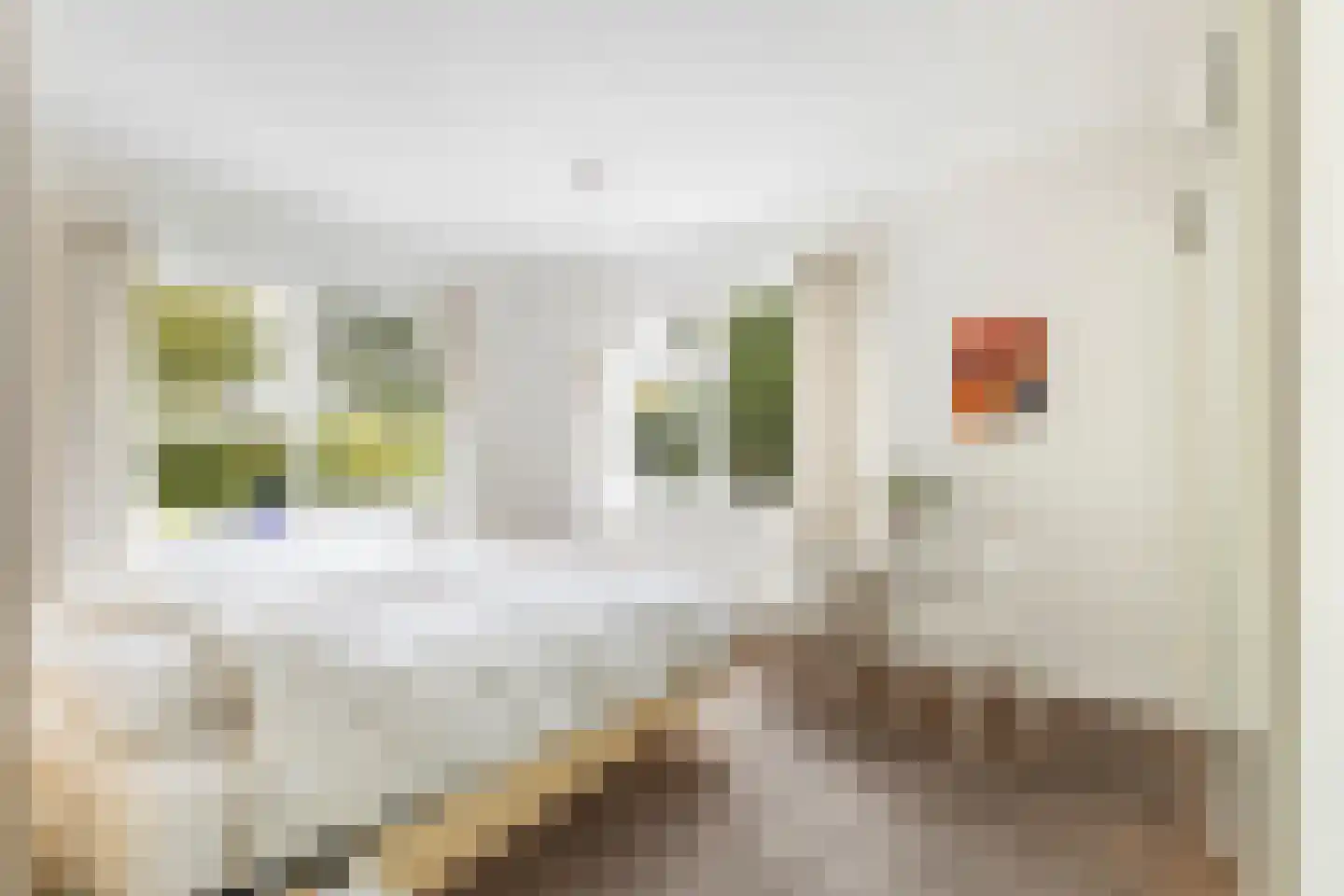 Boomakkerweg 10 Lunteren thumbnail 19