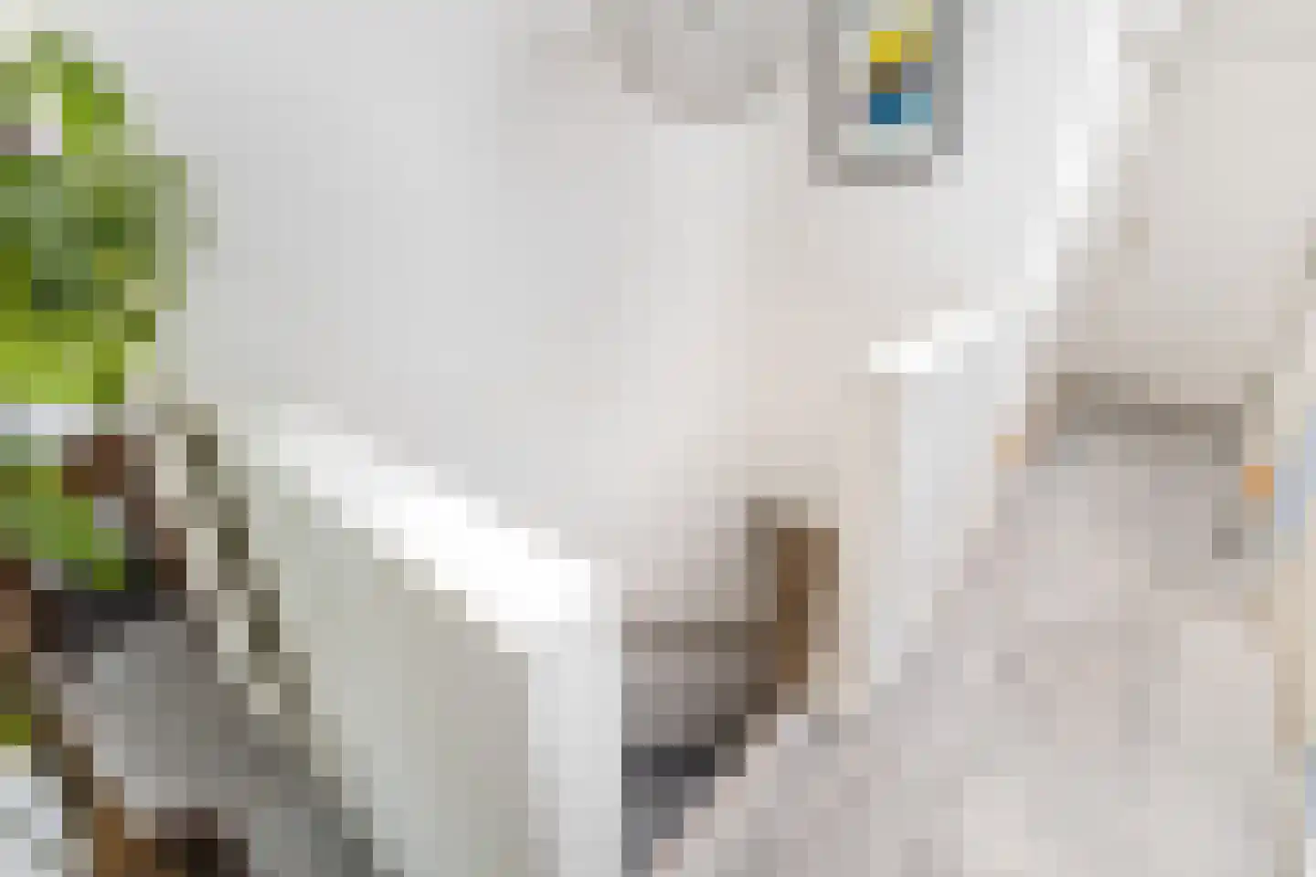 Boomakkerweg 10 Lunteren thumbnail 31