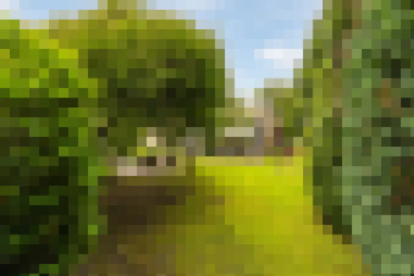 Boomakkerweg 10 Lunteren thumbnail 42