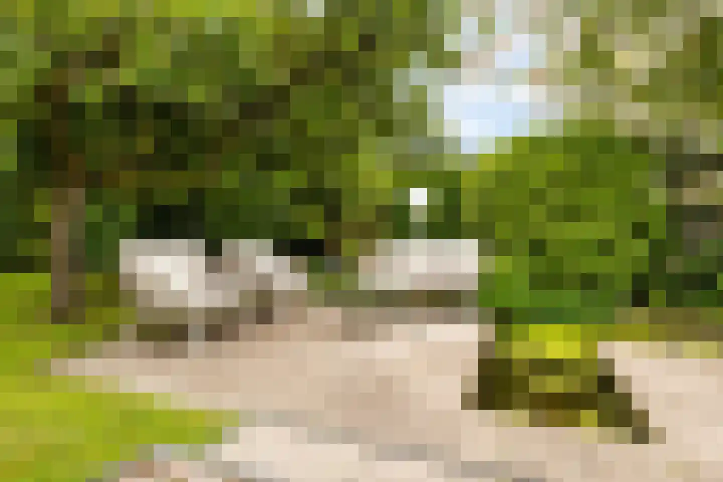 Boomakkerweg 10 Lunteren thumbnail 43