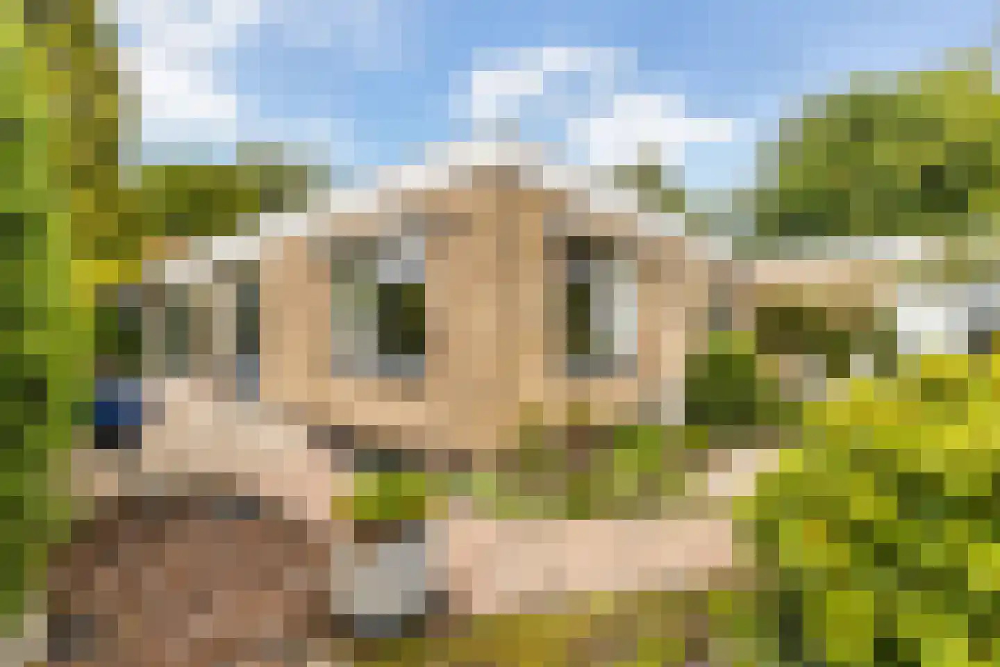 Boomakkerweg 10 Lunteren thumbnail 45