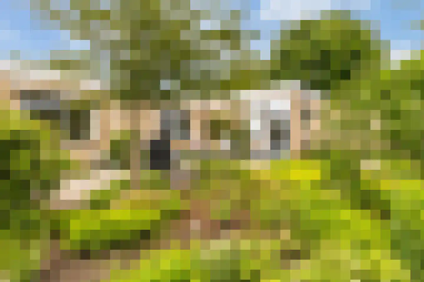 Boomakkerweg 10 Lunteren thumbnail 46