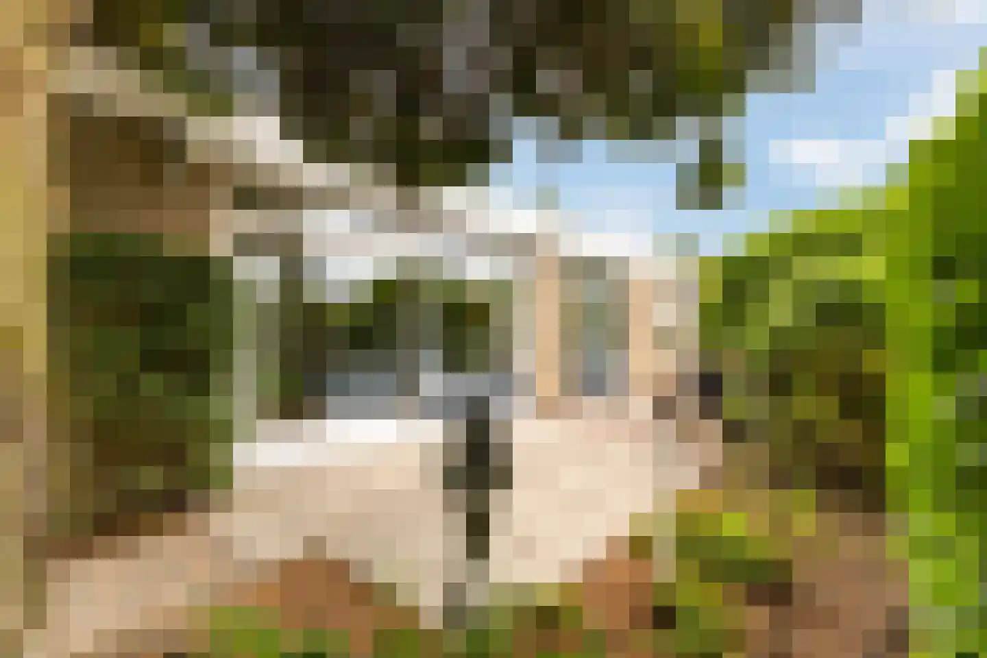 Boomakkerweg 10 Lunteren thumbnail 50
